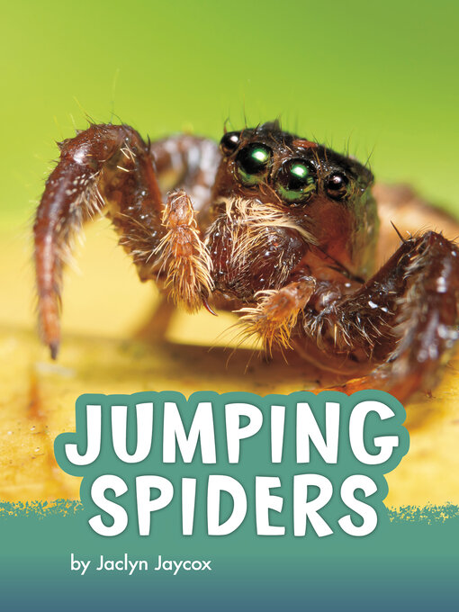 Title details for Jumping Spiders by Jaclyn Jaycox - Available
